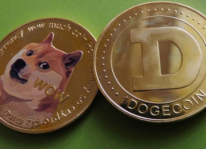 doge coin