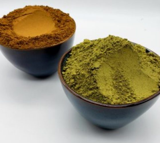 Kratom (Mitragyna speciosa)