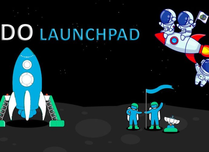 Development Of The IDO Token Launchpad: Your Way To Success